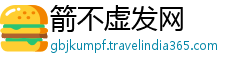 箭不虚发网